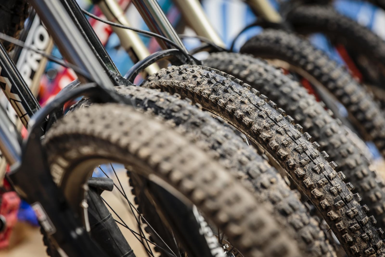Dettaglio delle ruote di mountain bike a noleggio