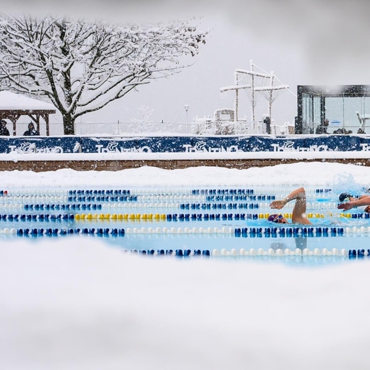 Nuoto invernale nel Lago di Molveno