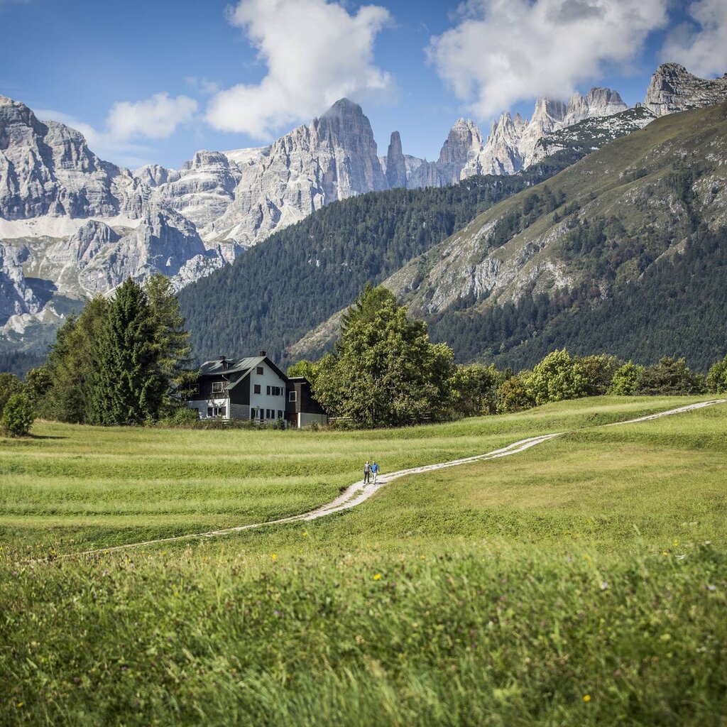 Passeggiata tra prati e boschi ad Andalo