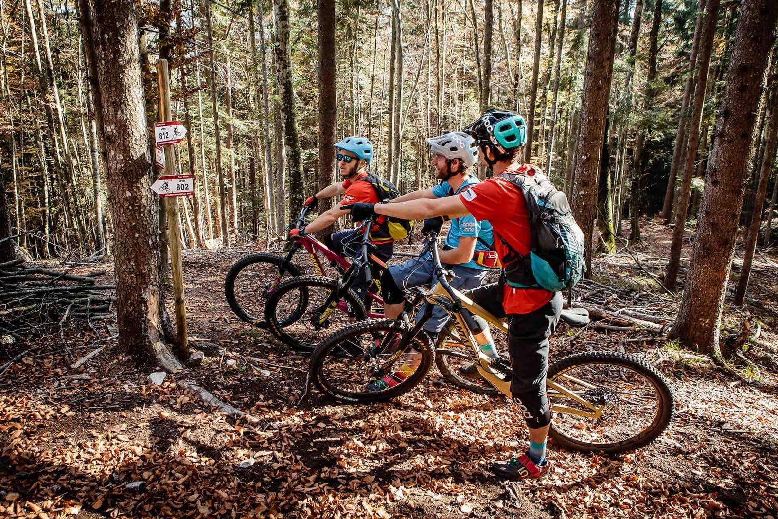 Biker fermi ai cartelli dei trail nel bosco di Priori